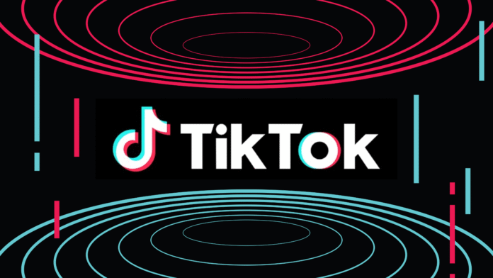 TikTok Is Back in India