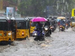Heavy Rain Returns to Chennai, 19 Other Districts of Tamil Nadu Brace for Wet Saturday