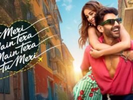Tu Meri Main Tera Main Tera Tu Meri Picks Up Pace on Day 3, Kartik Aaryan Scores a Strong Box Office Win