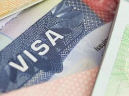 US Work Visas Demystified: A Simple Guide to H, L, O and C Categories and Who They’re For