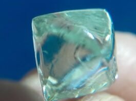 From Playmates to Prospectors: How Two Childhood Friends Struck a $55,000 Diamond in India