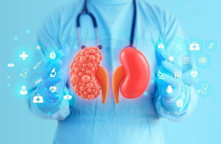 New Study Links Blood Inflammation Ratio to Higher Risk of Diabetic Kidney Disease