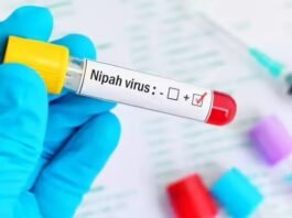 Only Two Nipah Cases Detected in West Bengal Since December, Confirms NCDC; Situation Under Control