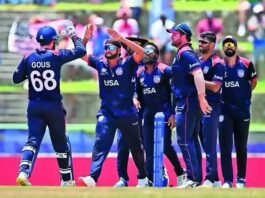 Diaspora Dream Nears Reality: 40 Indian-Origin Players Set to Light Up the T20 World Cup